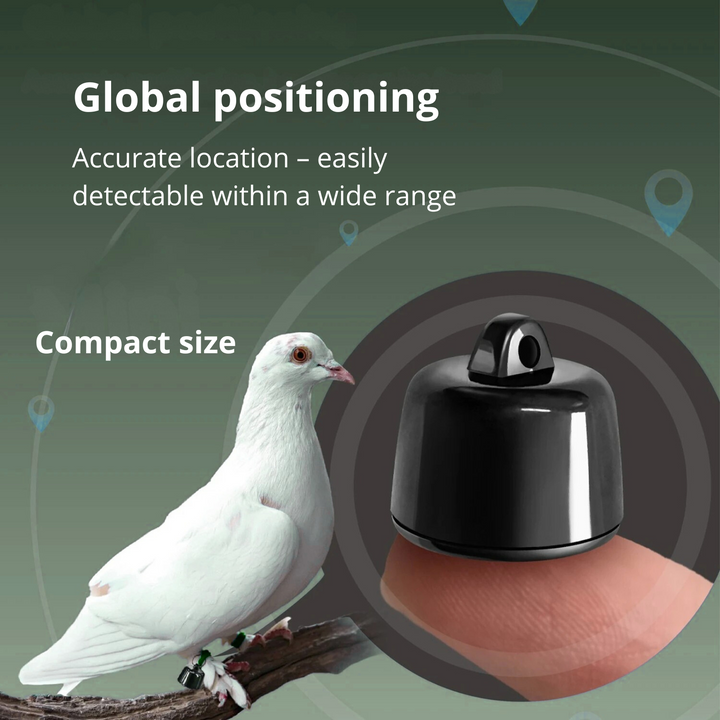SmartPet Tracker Mini GPS Pet Locator
