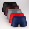 Men’s Mesh Boxer Shorts 5Pack